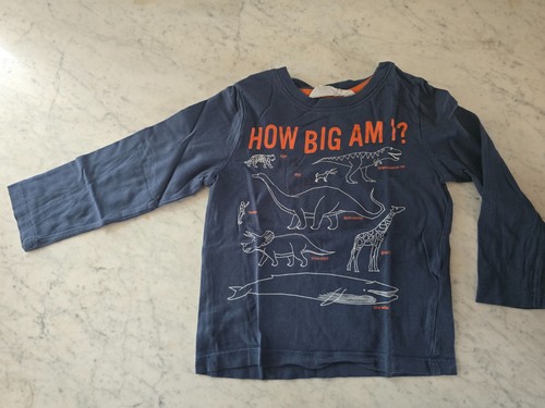 Langarmshirt 98 104 - langarmshirt,, gr.